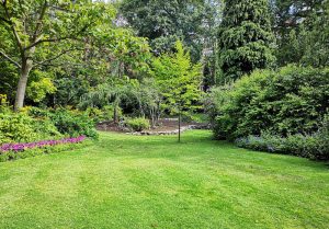 Optimiser l'expérience du jardin à Marsac-sur-Don